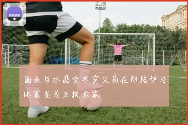 国米与水晶宫冬窗交易在即格伊与比塞克或互换东家